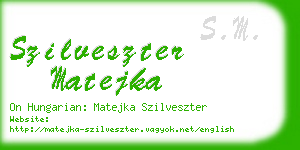 szilveszter matejka business card